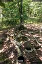Dateiname=LandArtBiel2019_120.jpg
Dateigröße=255KB
Abmessungen: 601x900
hinzugefügt am: 08. September 2019 LandArtBiel2019_120.jpg