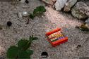 Dateiname=LandArtBiel2019_127.jpg
Dateigröße=289KB
Abmessungen: 1349x900
hinzugefügt am: 08. September 2019 LandArtBiel2019_127.jpg