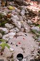 Dateiname=LandArtBiel2019_129.jpg
Dateigröße=165KB
Abmessungen: 601x900
hinzugefügt am: 08. September 2019 LandArtBiel2019_129.jpg