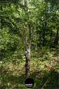 Dateiname=LandArtBiel2019_131.jpg
Dateigröße=308KB
Abmessungen: 601x900
hinzugefügt am: 08. September 2019 LandArtBiel2019_131.jpg