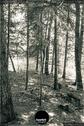 Dateiname=LandArtBiel2019_138.jpg
Dateigröße=244KB
Abmessungen: 601x900
hinzugefügt am: 08. September 2019 LandArtBiel2019_138.jpg
