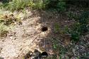 Dateiname=LandArtBiel2019_142.jpg
Dateigröße=592KB
Abmessungen: 1349x900
hinzugefügt am: 08. September 2019 LandArtBiel2019_142.jpg