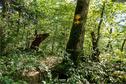 Dateiname=LandArtBiel2019_144.jpg
Dateigröße=642KB
Abmessungen: 1349x900
hinzugefügt am: 08. September 2019 LandArtBiel2019_144.jpg