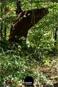 Dateiname=LandArtBiel2019_145.jpg
Dateigröße=246KB
Abmessungen: 601x900
hinzugefügt am: 08. September 2019 LandArtBiel2019_145.jpg