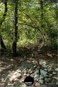 Dateiname=LandArtBiel2019_148.jpg
Dateigröße=294KB
Abmessungen: 601x900
hinzugefügt am: 08. September 2019 LandArtBiel2019_148.jpg