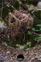 Dateiname=LandArtBiel2019_150.jpg
Dateigröße=242KB
Abmessungen: 601x900
hinzugefügt am: 08. September 2019 LandArtBiel2019_150.jpg