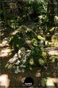 Dateiname=LandArtBiel2019_155.jpg
Dateigröße=238KB
Abmessungen: 601x900
hinzugefügt am: 08. September 2019 LandArtBiel2019_155.jpg