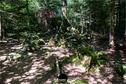 Dateiname=LandArtBiel2019_157.jpg
Dateigröße=528KB
Abmessungen: 1349x900
hinzugefügt am: 08. September 2019 LandArtBiel2019_157.jpg