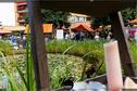 Dateiname=LebensartFestAarwangen19_016.jpg
Dateigröße=340KB
Abmessungen: 1349x900
hinzugefügt am: 15. September 2019 LebensartFestAarwangen19_016.jpg