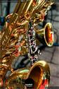 Dateiname=LebensartFestAarwangen19_084.jpg
Dateigröße=131KB
Abmessungen: 601x900
hinzugefügt am: 15. September 2019 LebensartFestAarwangen19_084.jpg