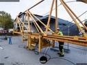 Dateiname=PotainMDT178_Aarwangen_073.jpg
Dateigröße=314KB
Abmessungen: 1199x900
hinzugefügt am: 13. November 2019 PotainMDT178_Aarwangen_073.jpg