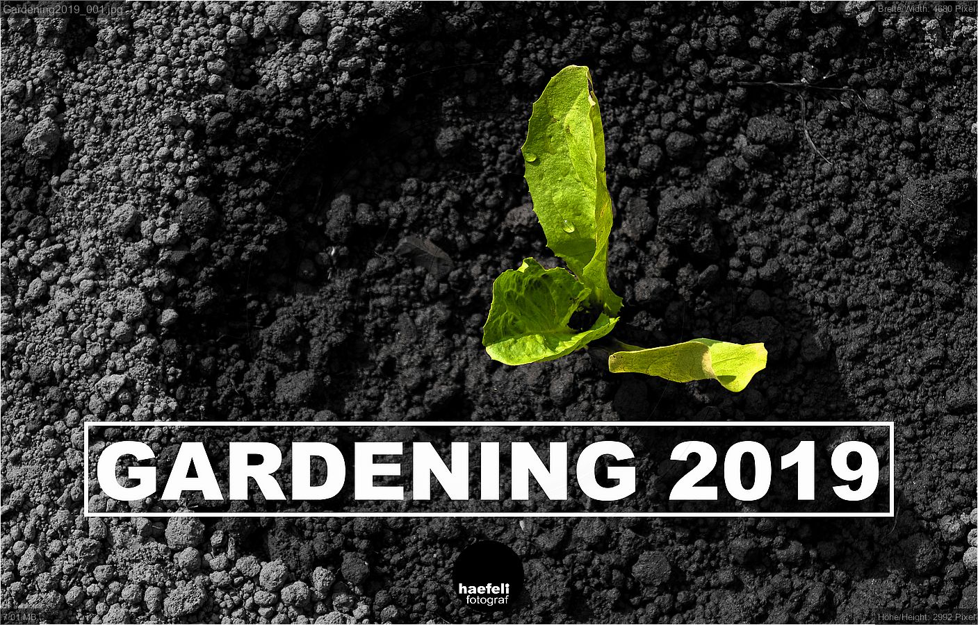 Gardening2019_001.jpg