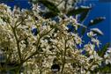 Dateiname=Gardening2019_004.jpg
Dateigröße=282KB
Abmessungen: 1349x900
hinzugefügt am: 30. November 2019 Gardening2019_004.jpg