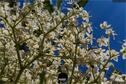 Dateiname=Gardening2019_005.jpg
Dateigröße=305KB
Abmessungen: 1349x900
hinzugefügt am: 30. November 2019 Gardening2019_005.jpg