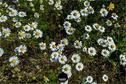 Dateiname=Gardening2019_006.jpg
Dateigröße=487KB
Abmessungen: 1349x900
hinzugefügt am: 30. November 2019 Gardening2019_006.jpg