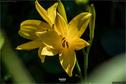 Dateiname=Gardening2019_011.jpg
Dateigröße=131KB
Abmessungen: 1349x900
hinzugefügt am: 30. November 2019 Gardening2019_011.jpg