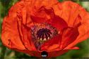 Dateiname=Gardening2019_025.jpg
Dateigröße=174KB
Abmessungen: 1349x900
hinzugefügt am: 30. November 2019 Gardening2019_025.jpg