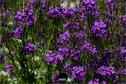 Dateiname=Gardening2019_031.jpg
Dateigröße=360KB
Abmessungen: 1349x900
hinzugefügt am: 30. November 2019 Gardening2019_031.jpg
