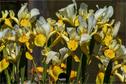 Dateiname=Gardening2019_040.jpg
Dateigröße=248KB
Abmessungen: 1349x900
hinzugefügt am: 30. November 2019 Gardening2019_040.jpg