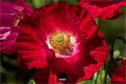 Dateiname=Gardening2019_041.jpg
Dateigröße=180KB
Abmessungen: 1349x900
hinzugefügt am: 30. November 2019 Gardening2019_041.jpg
