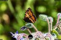 Dateiname=Gardening2019_049.jpg
Dateigröße=248KB
Abmessungen: 1349x900
hinzugefügt am: 30. November 2019 Gardening2019_049.jpg