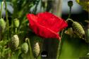 Dateiname=Gardening2019_050.jpg
Dateigröße=157KB
Abmessungen: 1349x900
hinzugefügt am: 30. November 2019 Gardening2019_050.jpg