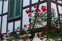 Dateiname=Regensberg_040.jpg
Dateigröße=324KB
Abmessungen: 1349x900
hinzugefügt am: 29. Juli 2019 Regensberg_040.jpg