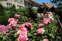 Dateiname=Regensberg_072.jpg
Dateigröße=536KB
Abmessungen: 1349x900
hinzugefügt am: 29. Juli 2019 Regensberg_072.jpg