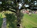Dateiname=SeebergGrasswil_18_19_247.jpg
Dateigröße=428KB
Abmessungen: 1204x900
hinzugefügt am: 31. Dezember 2019 SeebergGrasswil_18_19_247.jpg