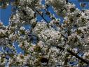 Dateiname=SeebergGrasswil_18_19_257.jpg
Dateigröße=316KB
Abmessungen: 1199x900
hinzugefügt am: 31. Dezember 2019 SeebergGrasswil_18_19_257.jpg