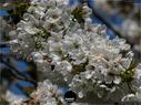 Dateiname=SeebergGrasswil_18_19_258.jpg
Dateigröße=219KB
Abmessungen: 1199x900
hinzugefügt am: 31. Dezember 2019 SeebergGrasswil_18_19_258.jpg