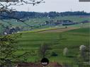 Dateiname=SeebergGrasswil_18_19_268.jpg
Dateigröße=271KB
Abmessungen: 1199x900
hinzugefügt am: 31. Dezember 2019 SeebergGrasswil_18_19_268.jpg