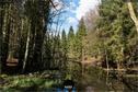 Dateiname=Steibachweiher_2019_130.jpg
Dateigröße=541KB
Abmessungen: 1349x900
hinzugefügt am: 31. Dezember 2019 Steibachweiher_2019_130.jpg