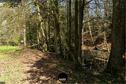 Dateiname=Steibachweiher_2019_133.jpg
Dateigröße=584KB
Abmessungen: 1349x900
hinzugefügt am: 31. Dezember 2019 Steibachweiher_2019_133.jpg
