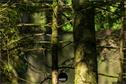 Dateiname=Steibachweiher_2019_136.jpg
Dateigröße=263KB
Abmessungen: 1349x900
hinzugefügt am: 31. Dezember 2019 Steibachweiher_2019_136.jpg