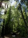 Dateiname=Steibachweiher_2019_140.jpg
Dateigröße=286KB
Abmessungen: 676x900
hinzugefügt am: 31. Dezember 2019 Steibachweiher_2019_140.jpg