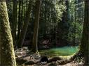 Dateiname=Steibachweiher_2019_149.jpg
Dateigröße=418KB
Abmessungen: 1199x900
hinzugefügt am: 31. Dezember 2019 Steibachweiher_2019_149.jpg