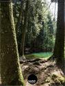 Dateiname=Steibachweiher_2019_151.jpg
Dateigröße=267KB
Abmessungen: 676x900
hinzugefügt am: 31. Dezember 2019 Steibachweiher_2019_151.jpg