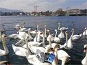 Dateiname=HandyNatelSmartphone2019_077.jpg
Dateigröße=278KB
Abmessungen: 1199x900
hinzugefügt am: 03. Januar 2020 HandyNatelSmartphone2019_077.jpg