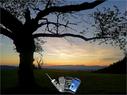 Dateiname=HandyNatelSmartphone2019_132.jpg
Dateigröße=244KB
Abmessungen: 1199x900
hinzugefügt am: 03. Januar 2020 HandyNatelSmartphone2019_132.jpg