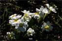 Dateiname=NatureSeasons_2019_002.jpg
Dateigröße=159KB
Abmessungen: 1349x900
hinzugefügt am: 14. Januar 2020 NatureSeasons_2019_002.jpg