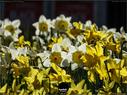 Dateiname=NatureSeasons_2019_004.jpg
Dateigröße=209KB
Abmessungen: 1199x900
hinzugefügt am: 14. Januar 2020 NatureSeasons_2019_004.jpg