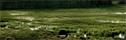 Dateiname=NatureSeasons_2019_008.jpg
Dateigröße=248KB
Abmessungen: 1500x475
hinzugefügt am: 14. Januar 2020 NatureSeasons_2019_008.jpg