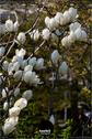 Dateiname=NatureSeasons_2019_010.jpg
Dateigröße=126KB
Abmessungen: 601x900
hinzugefügt am: 14. Januar 2020 NatureSeasons_2019_010.jpg