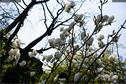 Dateiname=NatureSeasons_2019_012.jpg
Dateigröße=306KB
Abmessungen: 1349x900
hinzugefügt am: 14. Januar 2020 NatureSeasons_2019_012.jpg
