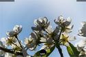Dateiname=NatureSeasons_2019_013.jpg
Dateigröße=141KB
Abmessungen: 1349x900
hinzugefügt am: 14. Januar 2020 NatureSeasons_2019_013.jpg