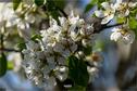 Dateiname=NatureSeasons_2019_014.jpg
Dateigröße=172KB
Abmessungen: 1349x900
hinzugefügt am: 14. Januar 2020 NatureSeasons_2019_014.jpg