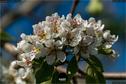 Dateiname=NatureSeasons_2019_015.jpg
Dateigröße=152KB
Abmessungen: 1349x900
hinzugefügt am: 14. Januar 2020 NatureSeasons_2019_015.jpg