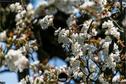 Dateiname=NatureSeasons_2019_017.jpg
Dateigröße=212KB
Abmessungen: 1349x900
hinzugefügt am: 14. Januar 2020 NatureSeasons_2019_017.jpg