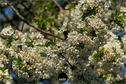 Dateiname=NatureSeasons_2019_021.jpg
Dateigröße=312KB
Abmessungen: 1349x900
hinzugefügt am: 14. Januar 2020 NatureSeasons_2019_021.jpg